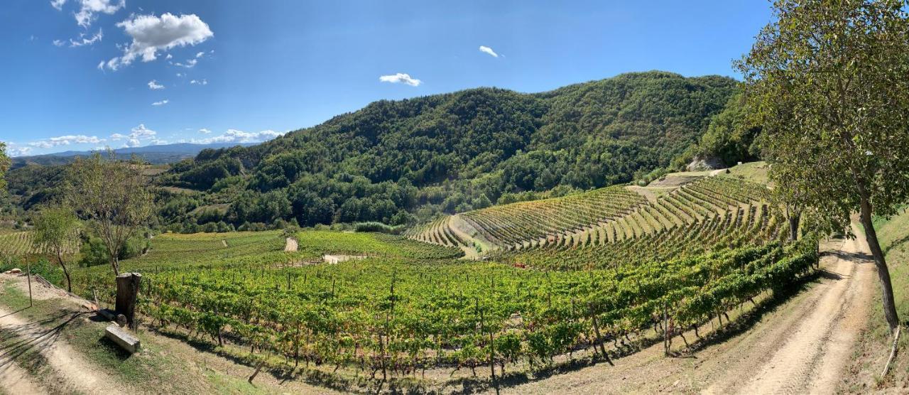 Cascina Bertolotto Wine Resort Spigno Monferrato 外观 照片