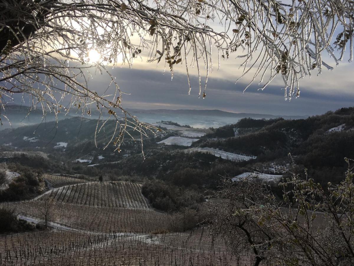 Cascina Bertolotto Wine Resort Spigno Monferrato 外观 照片