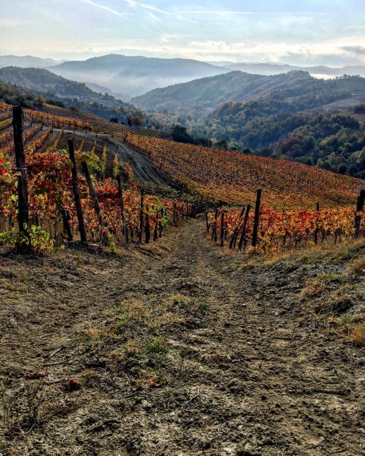 Cascina Bertolotto Wine Resort Spigno Monferrato 外观 照片