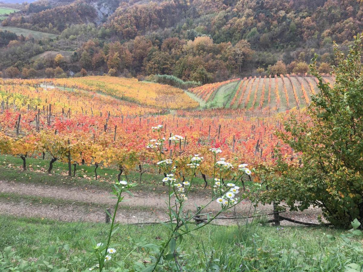 Cascina Bertolotto Wine Resort Spigno Monferrato 外观 照片