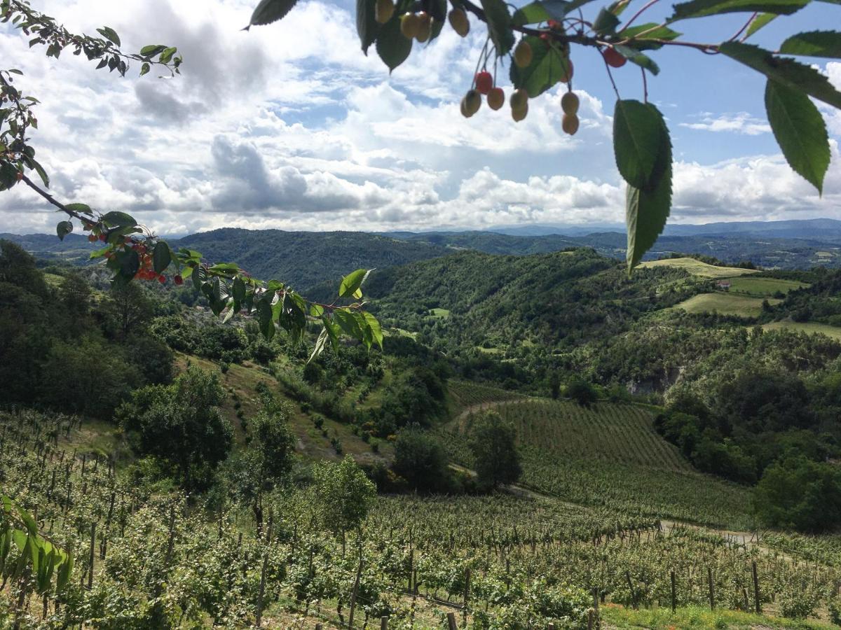 Cascina Bertolotto Wine Resort Spigno Monferrato 外观 照片