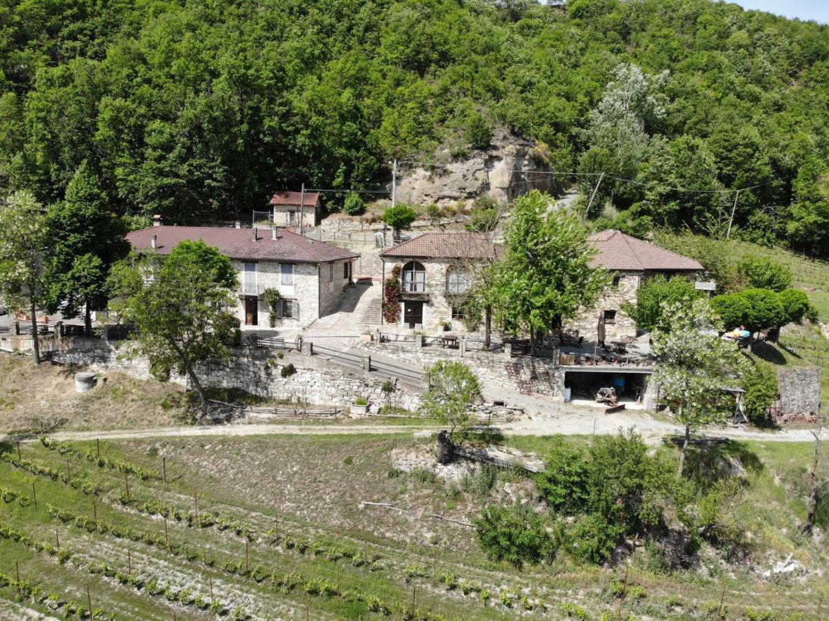 Cascina Bertolotto Wine Resort Spigno Monferrato 外观 照片
