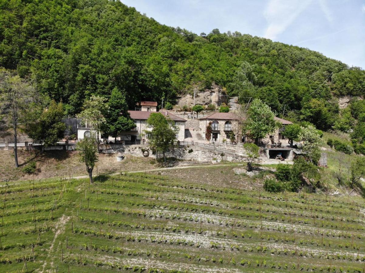 Cascina Bertolotto Wine Resort Spigno Monferrato 外观 照片
