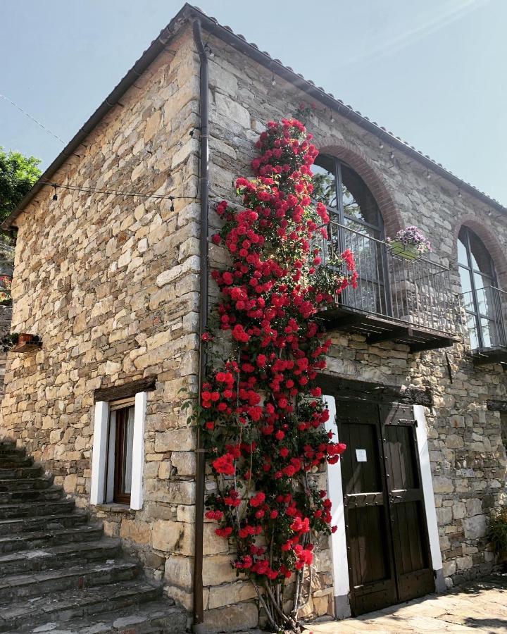 Cascina Bertolotto Wine Resort Spigno Monferrato 外观 照片